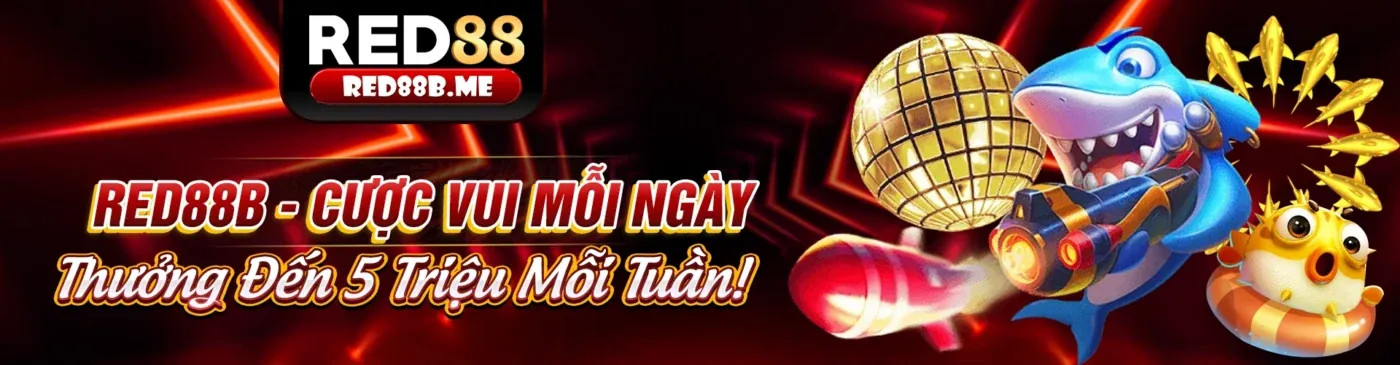 Giao diện ứng dụng 8Dayvn App trên điện thoại