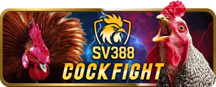 Cách 8dayvn App sử dụng Cookie để tối ưu trải nghiệm